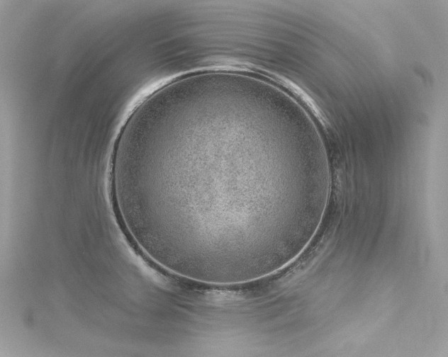 X0000116011379200911191516