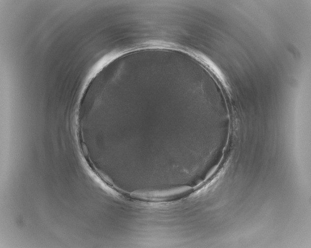 X0000116011381200911191516