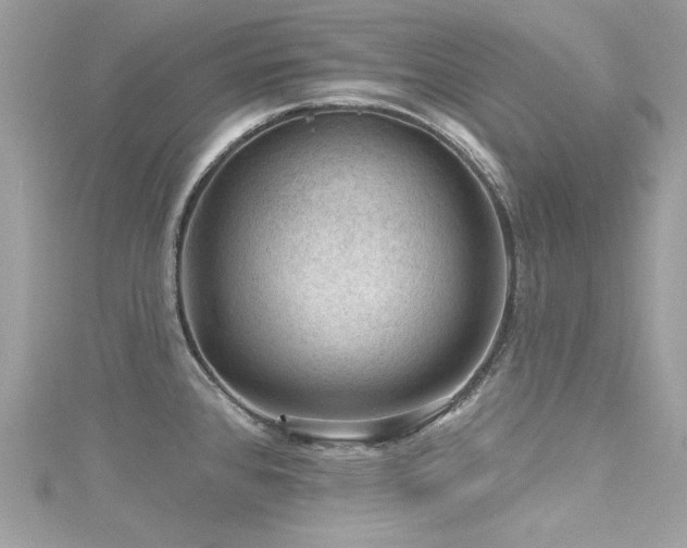 X0000116011384200911191516