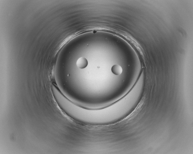 X0000116011385200911191516