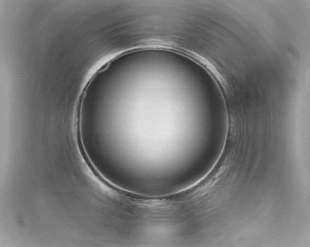 X0000116011387200911191516