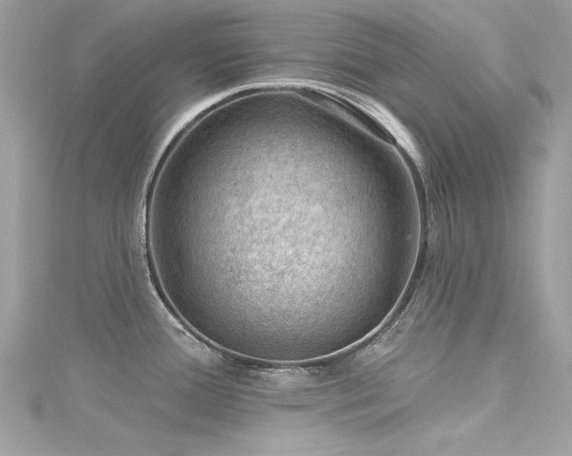 X0000116011388200911191516