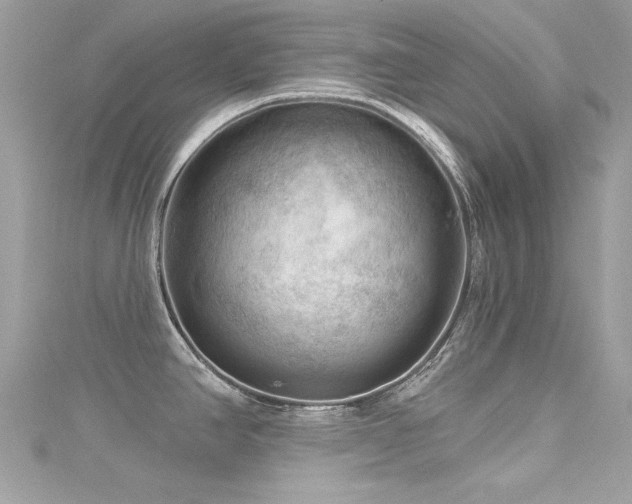 X0000116011390200911191516
