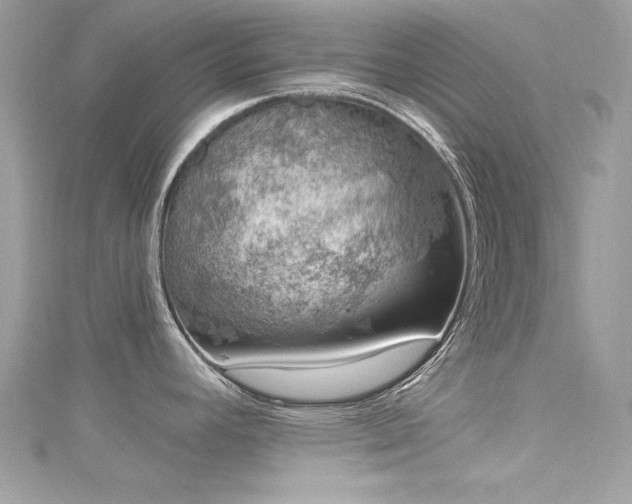 X0000116011392200911191516