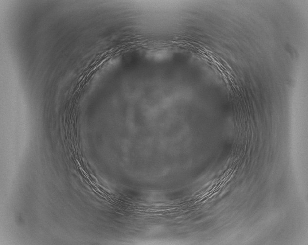 X0000116011393200911191515