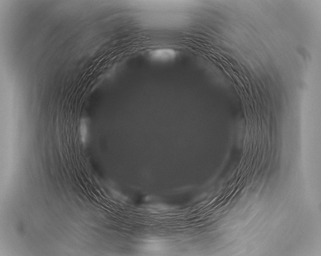 X0000116011394200911191515