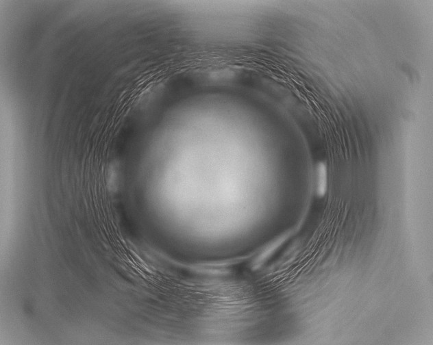 X0000116011395200911191515