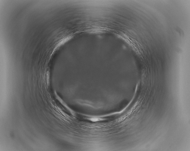 X0000116011402200911191515