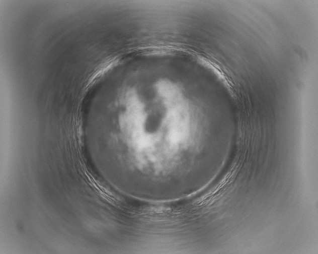 X0000116011403200911191515