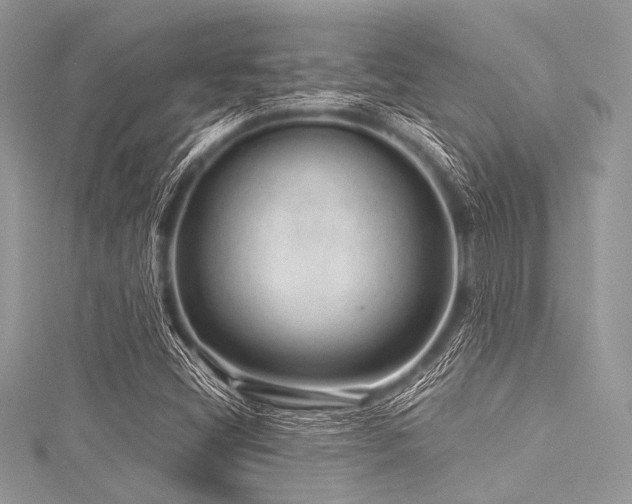 X0000116011404200911191515