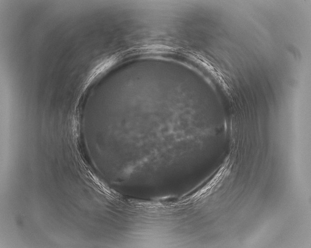 X0000116011405200911191516