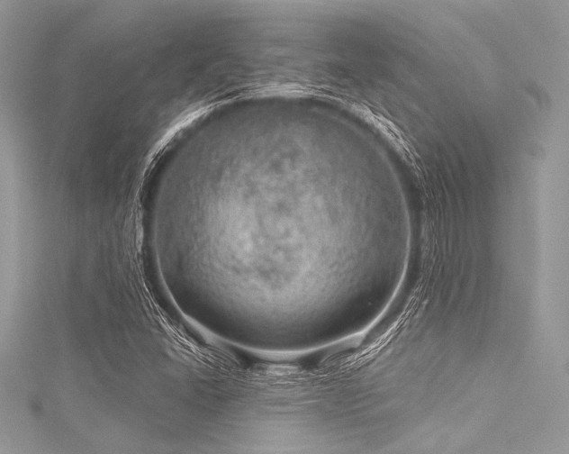 X0000116011406200911191516