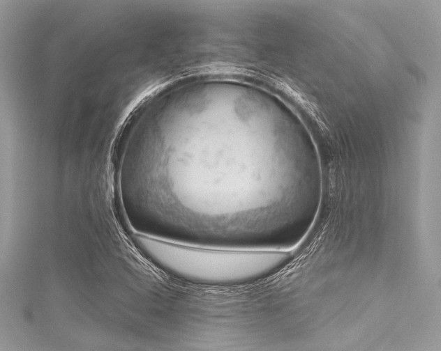 X0000116011408200911191516