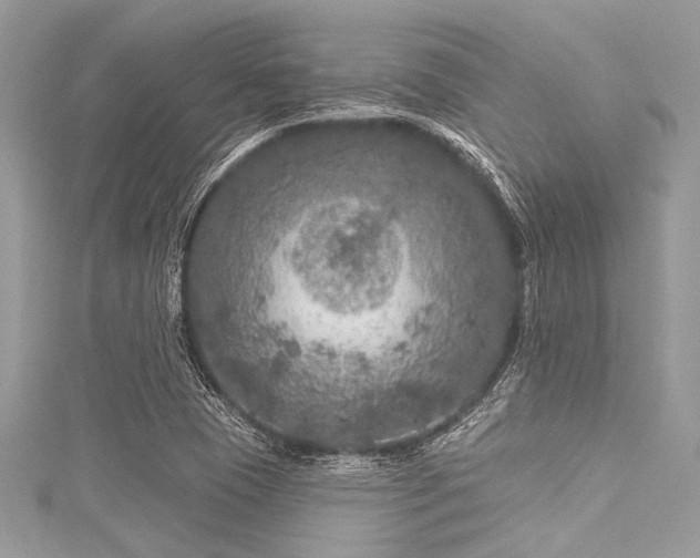 X0000116011409200911191516