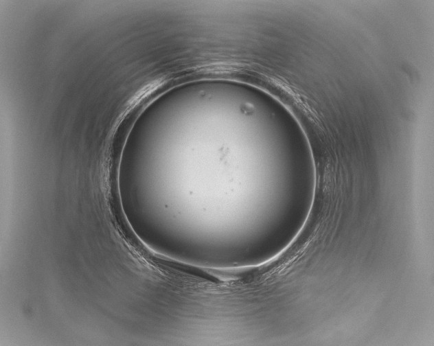 X0000116011410200911191516