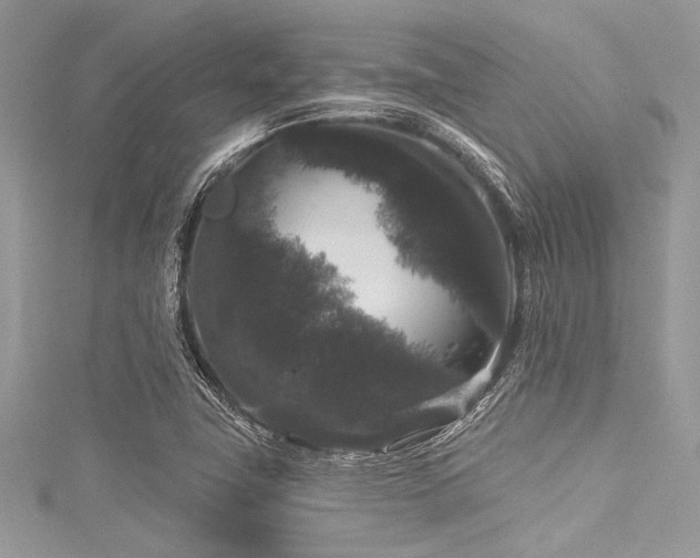 X0000116011411200911191516