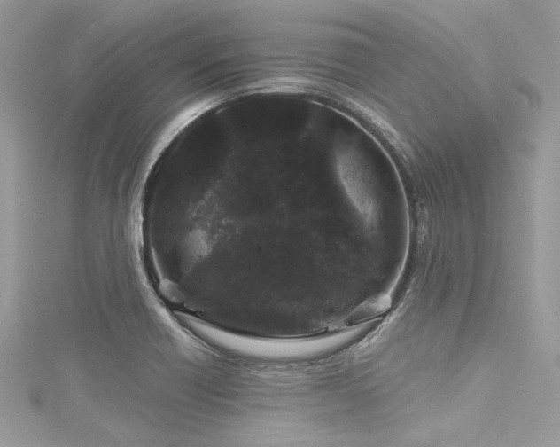 X0000116011418200911191516