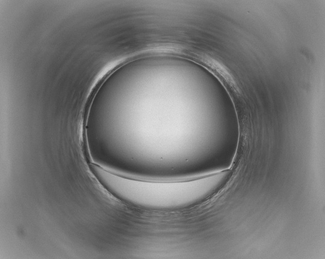 X0000116011420200911191516