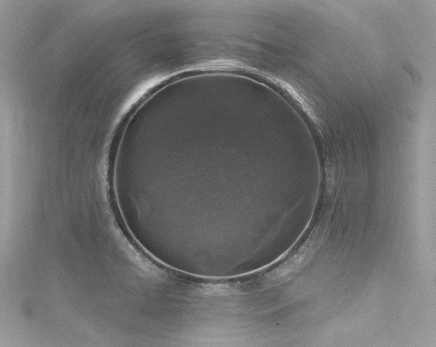 X0000116011422200911191516