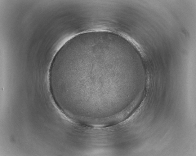 X0000116011423200911191516