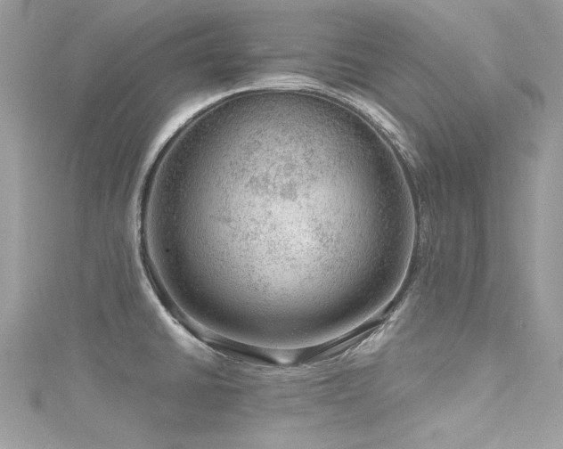 X0000116011430200911191516