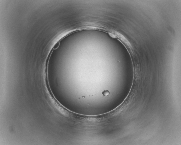 X0000116011431200911191516