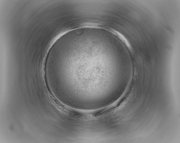 X0000116011435200911191516