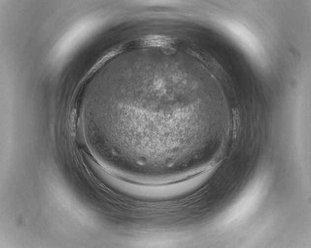 X0000116011438200911191516