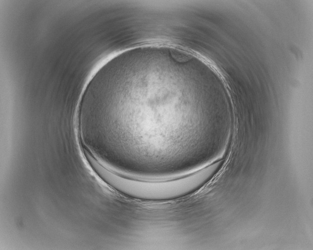 X0000116011440200911191516