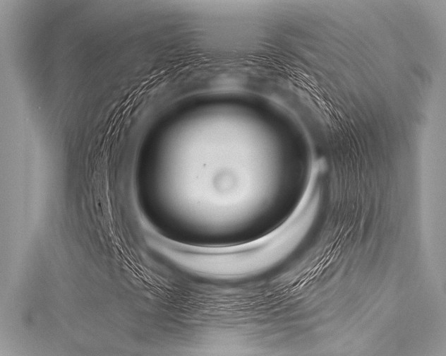 X0000116011441200911191515