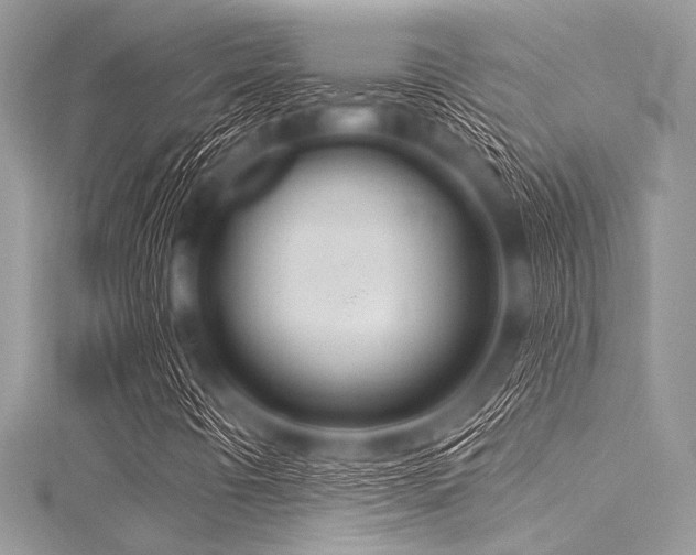 X0000116011442200911191515