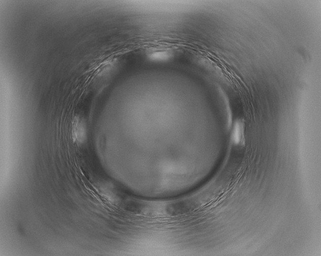 X0000116011444200911191515