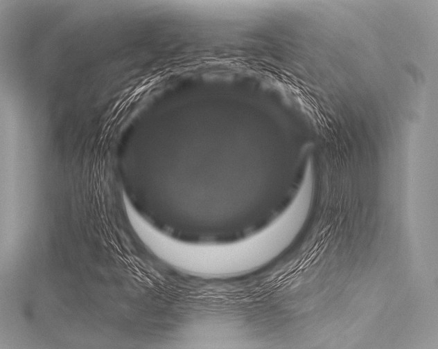 X0000116011445200911191515