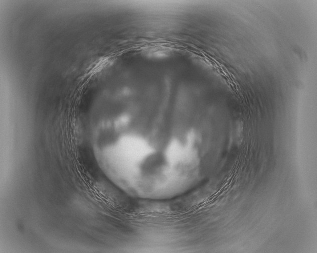 X0000116011446200911191515