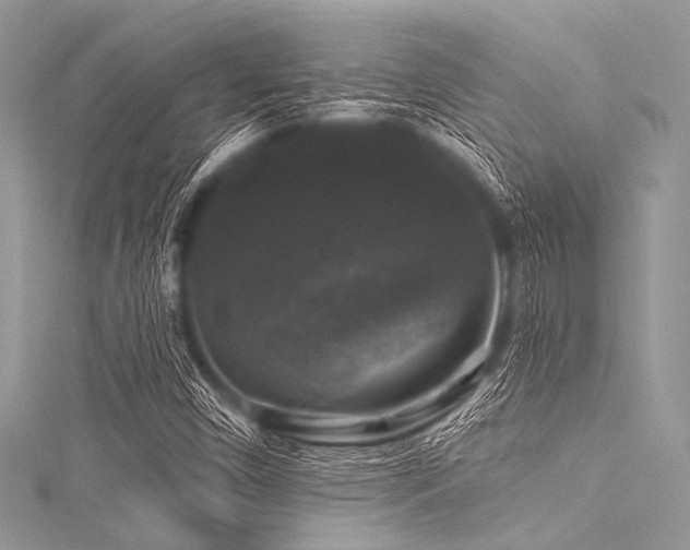 X0000116011450200911191515