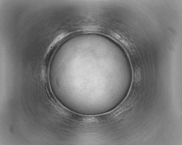 X0000116011454200911191515