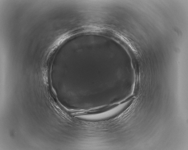 X0000116011455200911191515