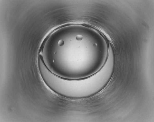 X0000116011484200911191515