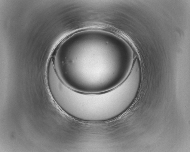 X0000116011488200911191515