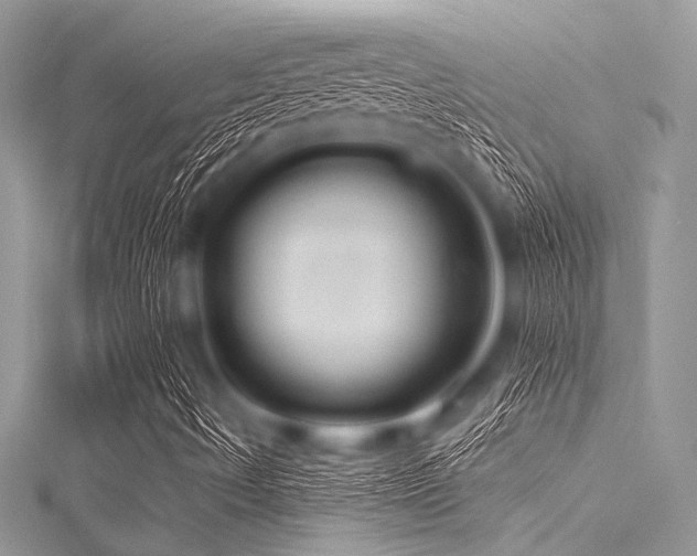 X0000116011490200911191514