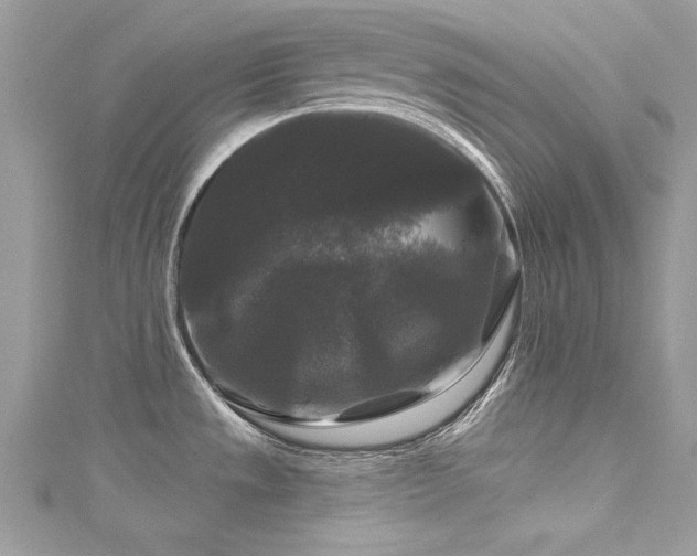 X0000116011533200911191515