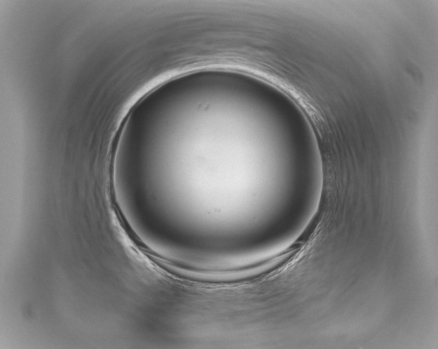 X0000116011534200911191515
