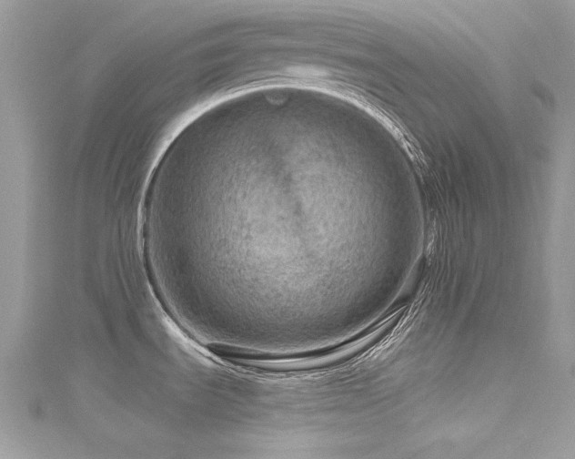 X0000116011535200911191515