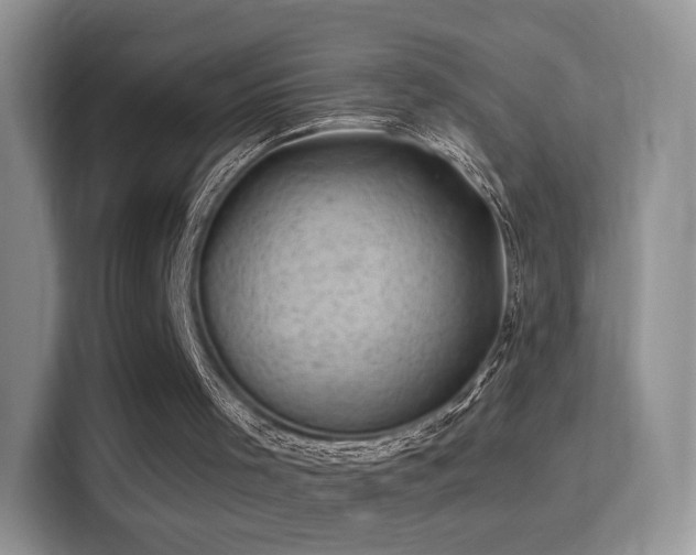 X0000116010001200911251130