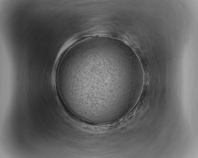 X0000116010004200911251130