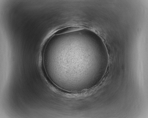 X0000116010005200911251130