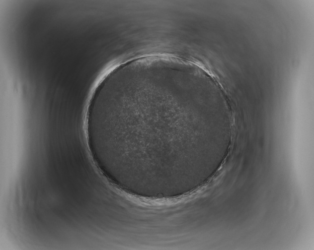 X0000116010006200911251130