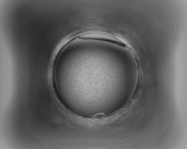 X0000116010007200911251130