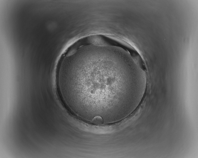 X0000116010008200911251130