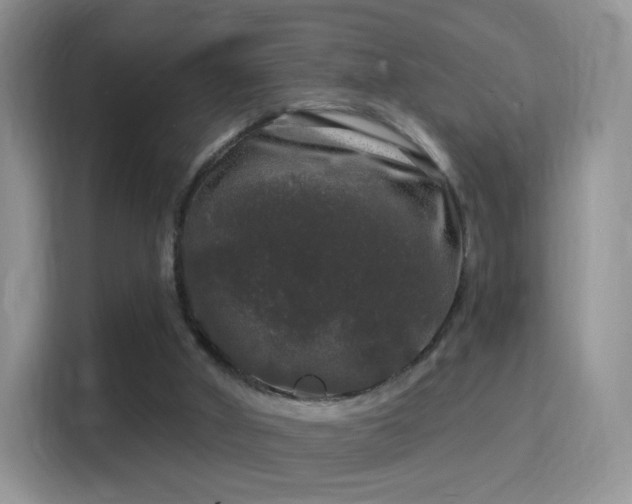 X0000116010010200911251130